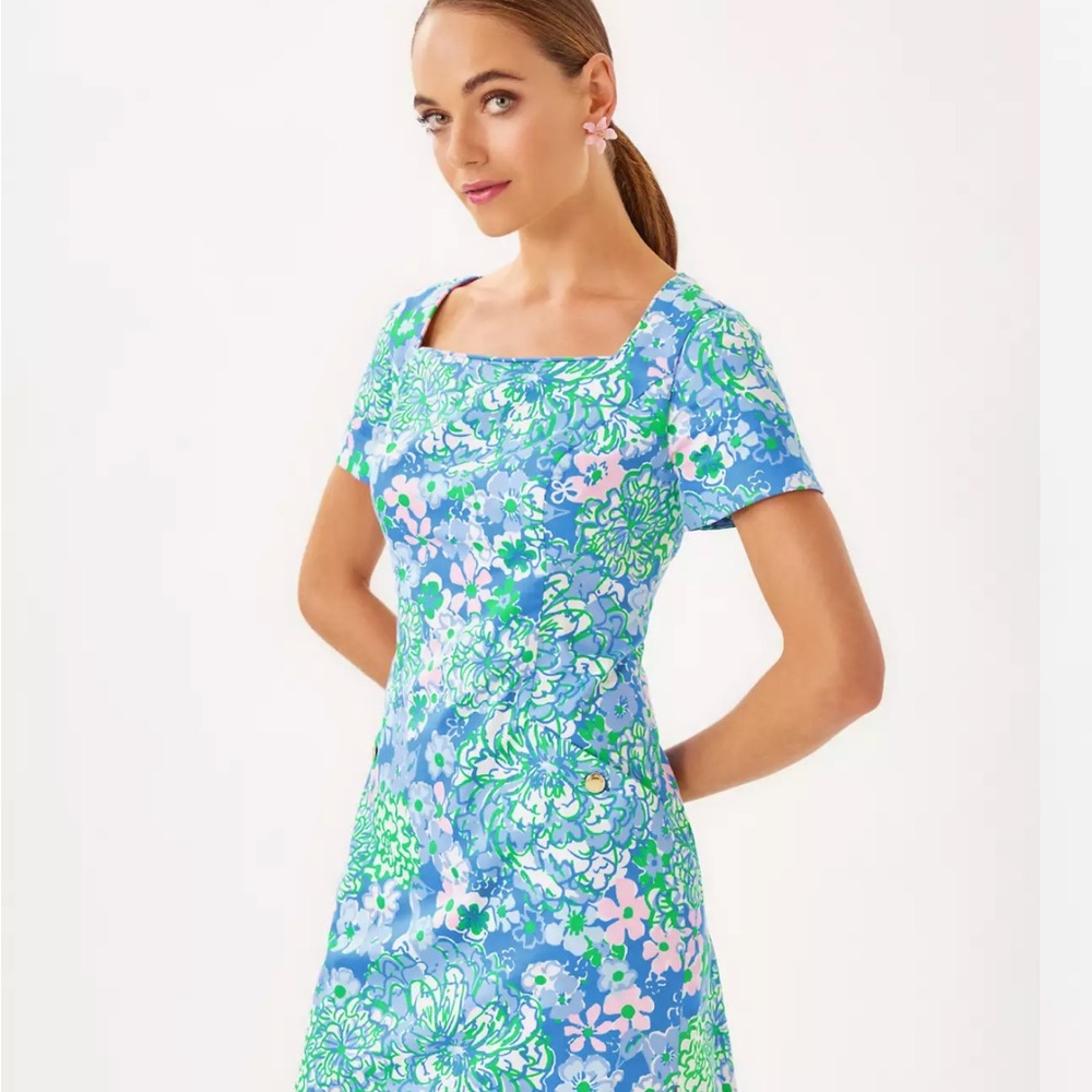 EUC Lilly Pulitzer Lilly Dress